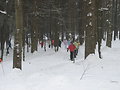 Skiverleih Denk - Bayerischer Wald